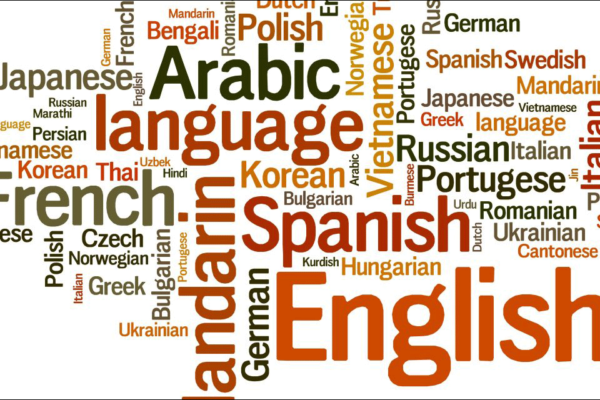 Challenges in Online Translation: Navigating Linguistic Specificities
